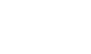 Pioctet Consulting